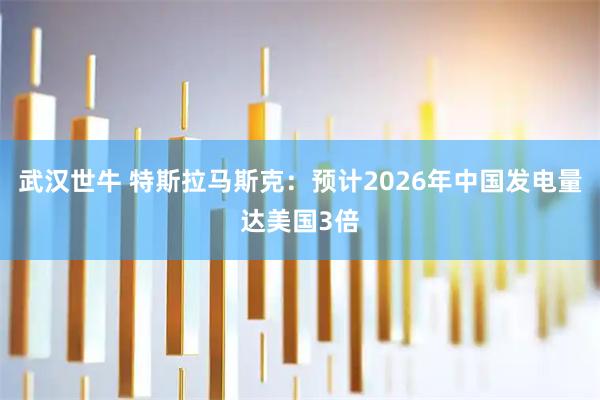 武汉世牛 特斯拉马斯克：预计2026年中国发电量达美国3倍