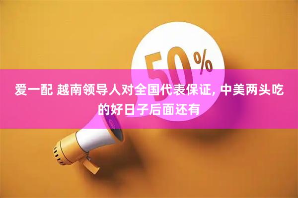 爱一配 越南领导人对全国代表保证, 中美两头吃的好日子后面还有