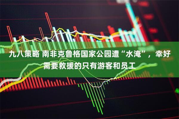 九八策略 南非克鲁格国家公园遭“水淹”，幸好需要救援的只有游客和员工