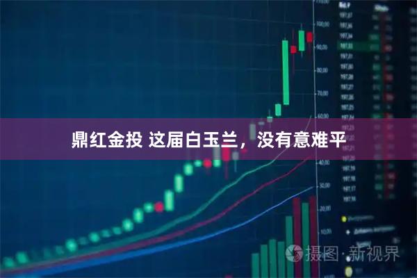 鼎红金投 这届白玉兰，没有意难平